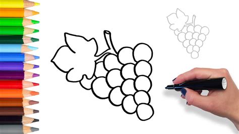 Some children may not spend hours at the table drawing their masterpieces. Learn How to Draw Grapes | Teach Drawing for Kids and Toddlers Coloring Page Video - YouTube