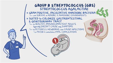 Group B Streptococcus GBS Infection In Pregnancy Nursing Osmosis Video Library