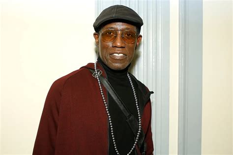Wesley Snipes Wife Nakyung Park Wiki Children Net Worth Age