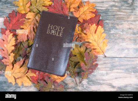 Bible On Fall Leaves Stock Photo Alamy