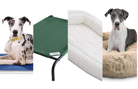 The Best Dog Beds For Large Dogs In 2023 Popular Science