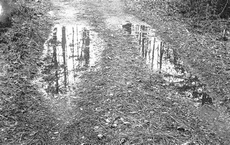 Driveway Reflections Henry County Georgia Neal Wellons Flickr