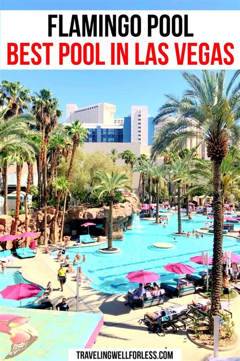 Flamingo Pool Go Pool And Beach Club One Of The Best Pools In Las Vegas