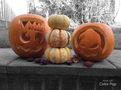 Pin By Margaret Vernon On Gourds And Pumpkins Pumpkin Carving