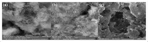 Sem Images Of A Tap B Hcd And C Tapag Nanocomposites Sem