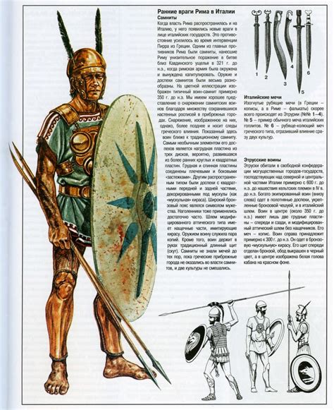 Samnite Warrior Ancient Rome Roman History Warriors Illustration