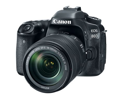 How To Use The Canon 80d Tips Tricks And The Best Picture Settings