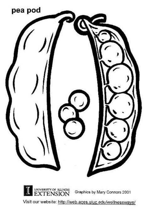 252x300 pea pods rubber stamps (2566 h) summore fun. Coloring Page pea pod - free printable coloring pages ...
