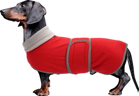 Dachshund Coats Sausage Dog Fleece Coat In Winter Miniature Dachshund