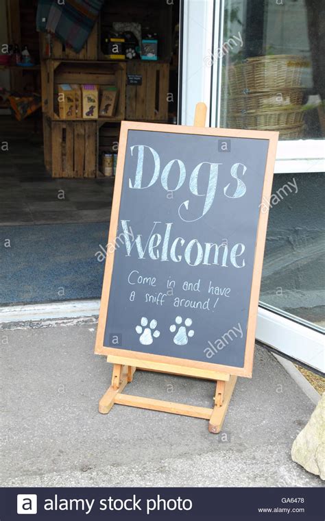 Dogs Welcome Sign High Resolution Stock Photography And Images Alamy