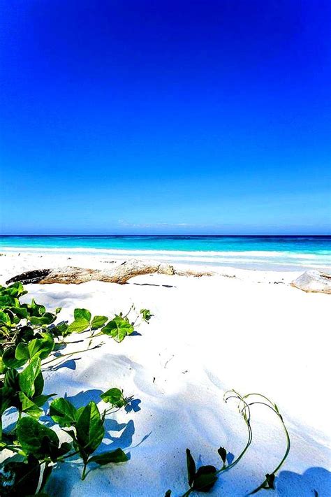 40 Of The Most Attractive White Sand Beaches You Must See Beautiful
