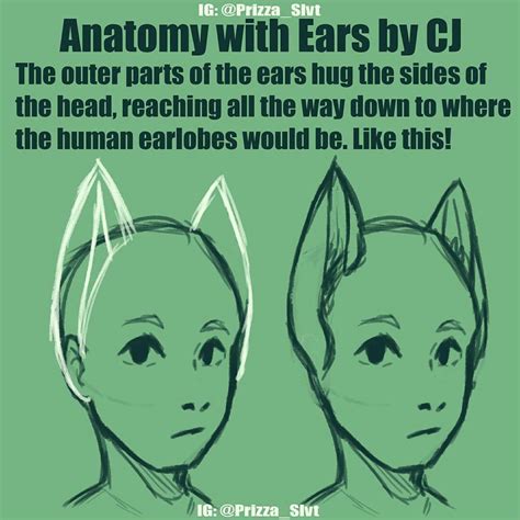 Pin By Sara Brown On Drawing ~ Tutorials ~ Reference Anime Cat Ears