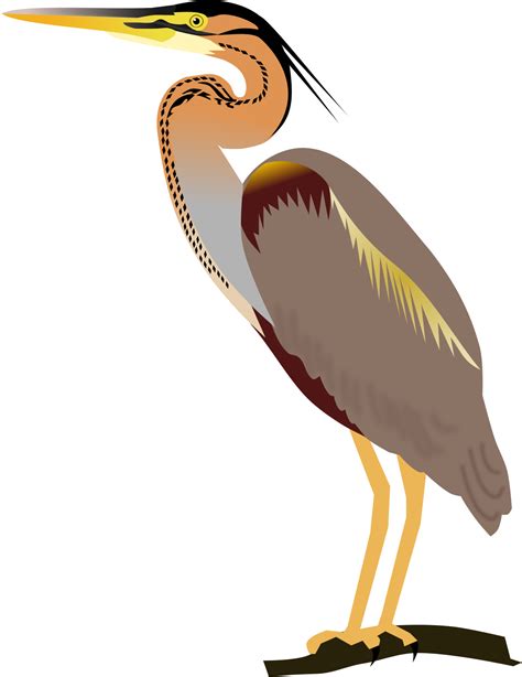 Heron Png Transparent Image Download Size 1200x1556px