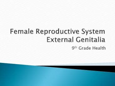 Ppt Female Reproductive System External Genitalia Powerpoint