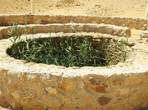 Prophet Moses Springs Water Wells And Palms In Sinai Peninsula Ras