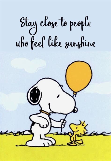 Pin By C R On Snoopy Snoopy Quotes Snoopy Funny Snoopy