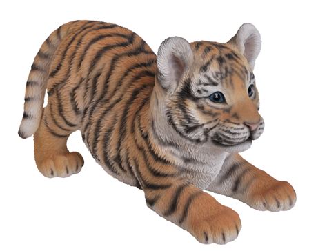 Tiger Cub Png 10 Free Cliparts Download Images On Clipground 2021