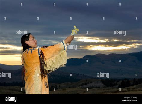 Traditional Native American Man Makes An Offering Of Plant Medicine To