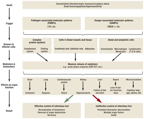 Urosepsis Etiology Diagnosis And Treatment Abstract Europe Pmc