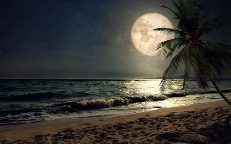 Download 3840x2400 Wallpaper Beach Sand Nights Moon Palm Tree Nature 4k Ultra Hd 1610
