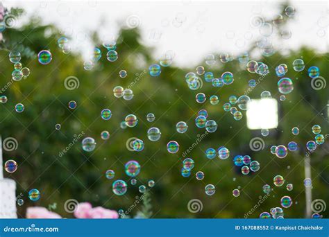 Soap Bubbles Blurred In The Background Blur Bubble Party Stock Photo