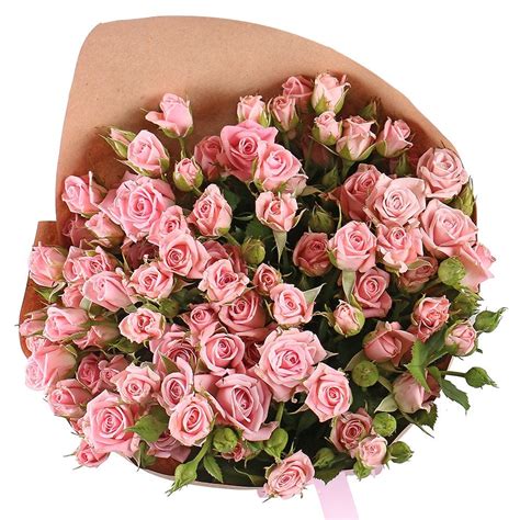 Order A Bouquet 15 Pink Spray Roses With Delivery