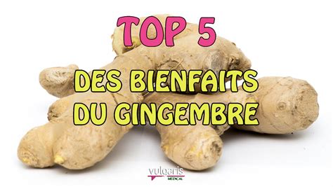 Top 5 Des Bienfaits Du Gingembre Vulgaris Médical