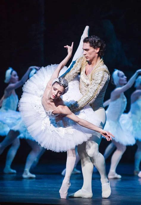 English National Ballet S Swan Lake Alina Cojocaru Fits The Bill In Pictures Ballet Dance