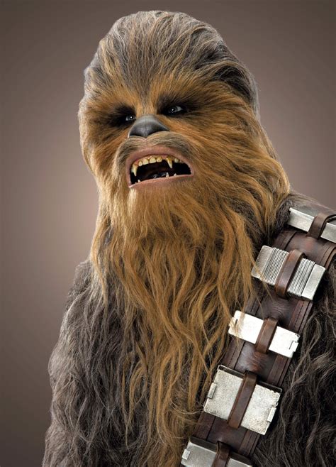Chewbacca Wookieepedia Fandom Powered By Wikia Star Wars