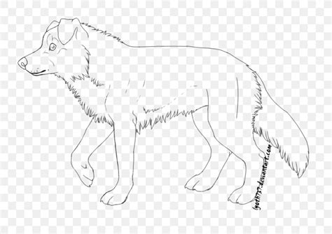 Line Art Border Collie Dog Breed Rough Collie Stock Photography Png