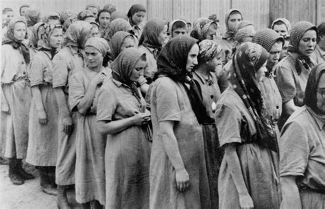 Upiorna codzienność więźniów Auschwitz Birkenau Wstrząsająca relacja