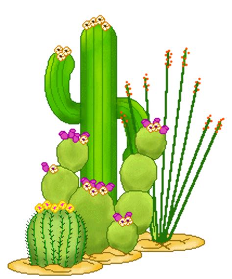 Download High Quality Cactus Clip Art Flower Transparent Png Images