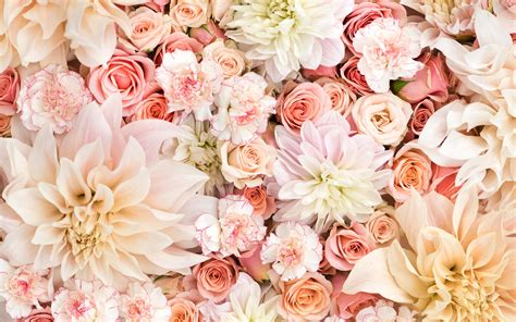 Rose Gold Floral Wallpapers Top Free Rose Gold Floral Backgrounds