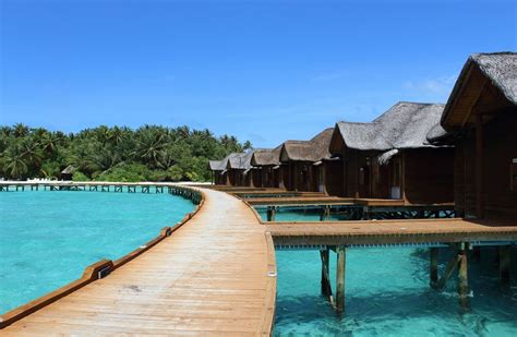 Top Reasons Why You Should Visit The Maldives The Maldives Travel