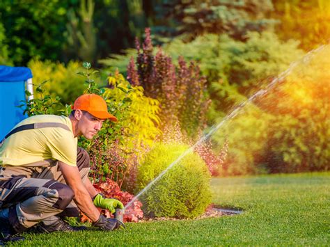 Landscaping And Lawn Maintenance Jobs Pro Lawn Landscape And Maintenance