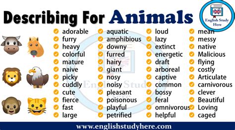 Adjectives For Describing Animals In English Archives English Study Here