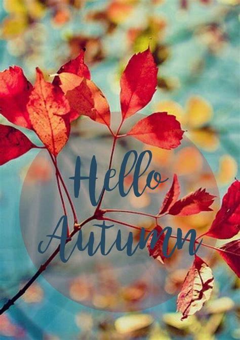 Hello Autumn Pictures Photos And Images For Facebook