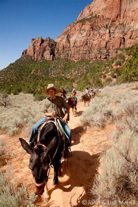 Horseback Tours Of Zion National Park Are Truly Spectacular Book One