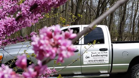 Spring Is Right Around The Corner Looking For A Spring Clean Up Or