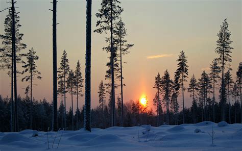 Landscapes Trees Winter Snow Sunset Sunrise Sky