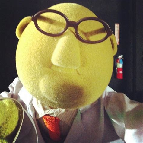 Dr Bunsen Honeydew Photos Muppet Selfies Ny Daily News