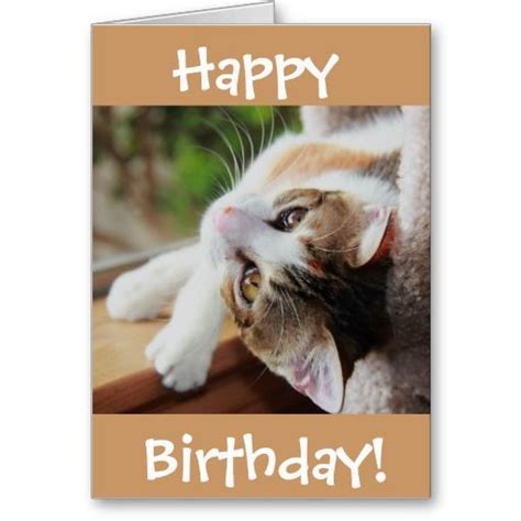 Cute Calico Cat Birthday Card Purr Fect Day Card Cat