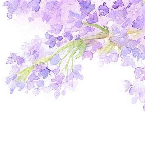 Lilacs Watercolor Print Lilac Painting Watercolor Print Flower Art