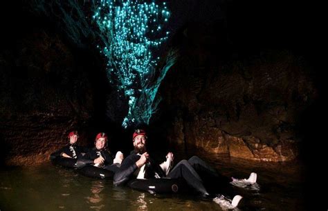 Glow Worms Caves New Zealand Waitomo Glow Warm Caves New Zealand