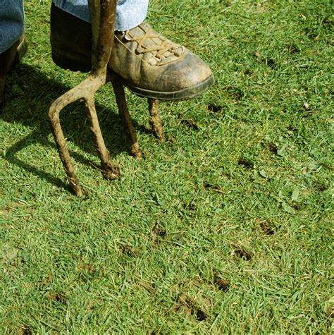 What It Is Lawn Aeration Why When And How Its Done