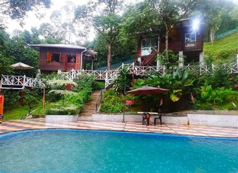 Antara homestay melaka yang ada kolam renang biasanya anda boleh menginap di: Bercuti Kat Homestay Dalam Hutan Ni, Kolam Renang Pun ...