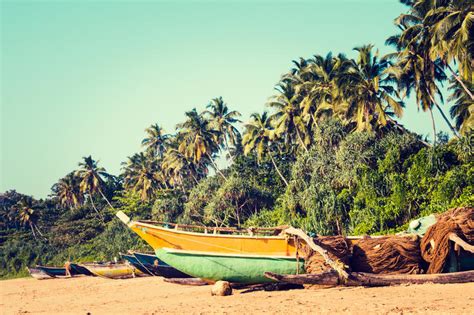 Fishing Boats On A Tropical Beach With Palm Trees In The Background