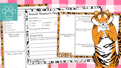 Teachers Pet Tigers Non Chronological Report Research Templates