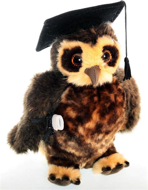 Plush Owl With Graduation Hat And Scroll About 23 Cm High