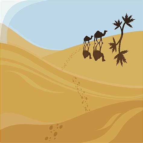 Best Sahara Desert Oasis Illustrations Royalty Free